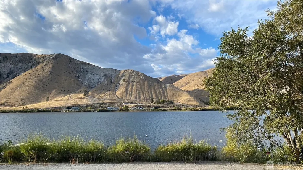 119 Crest View Drive Orondo WA 98843