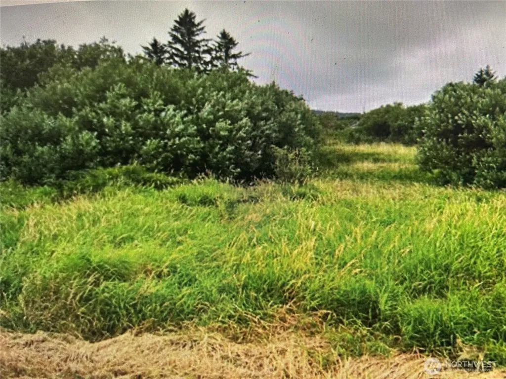 258 Stringtown Road Ilwaco WA 98624