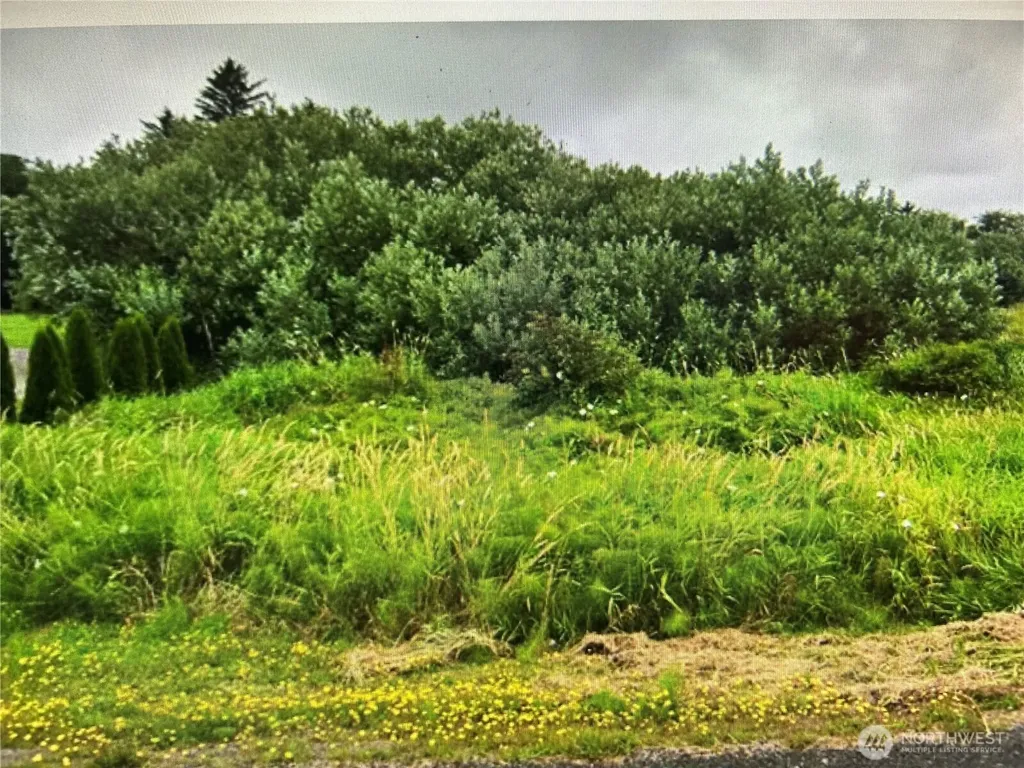 258 Stringtown Road Ilwaco WA 98624