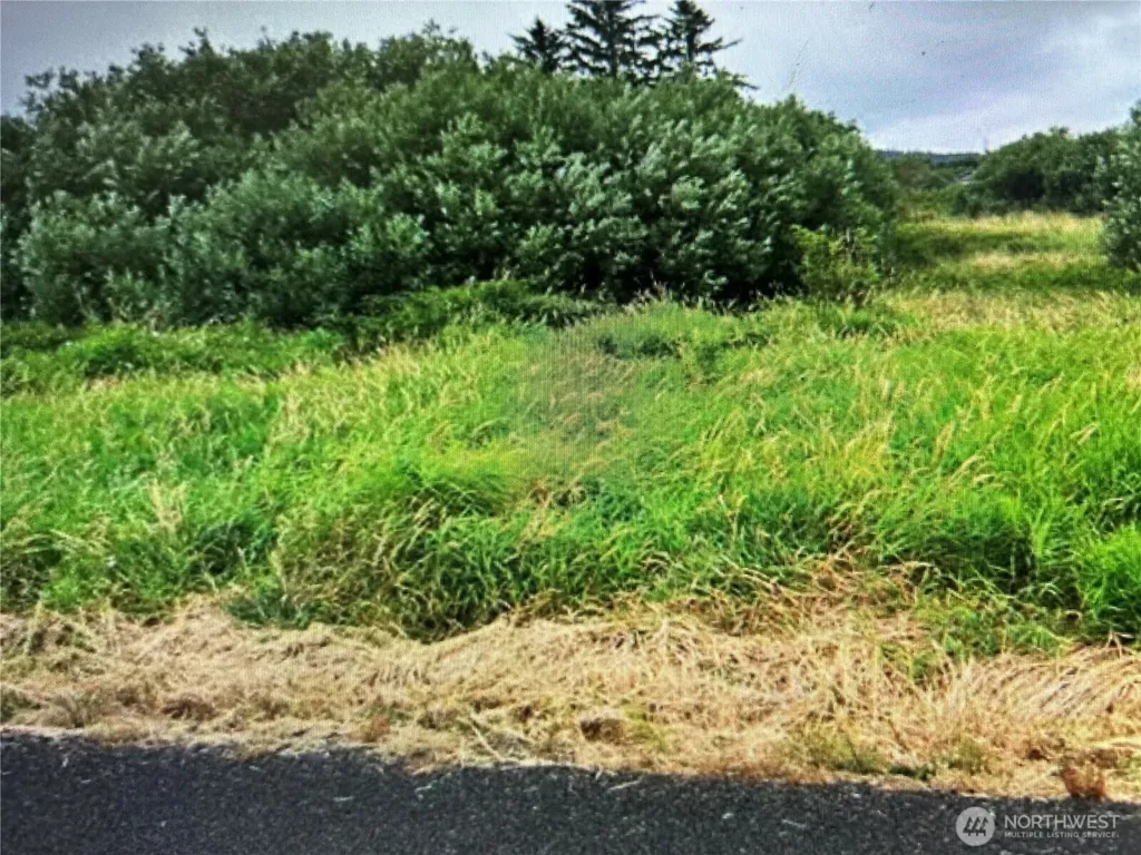 258 Stringtown Road Ilwaco WA 98624