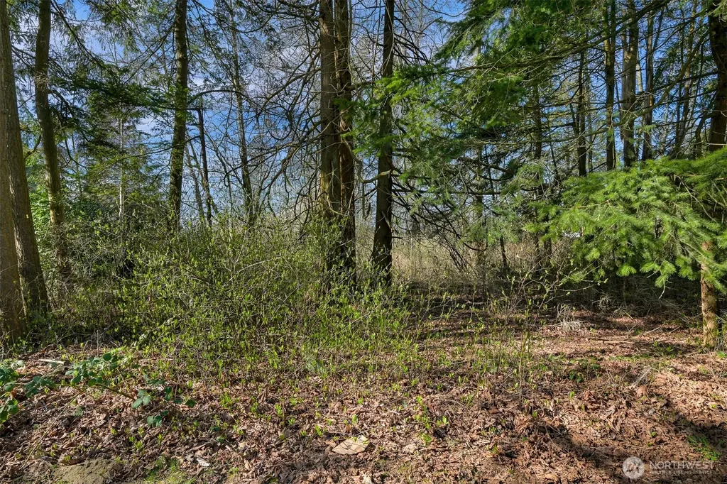 8385 Semiahmoo Drive Blaine WA 98230