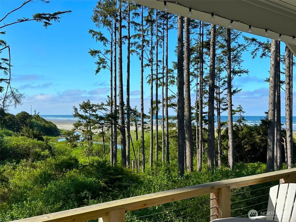 46 Seaside Lane Pacific Beach WA 98571