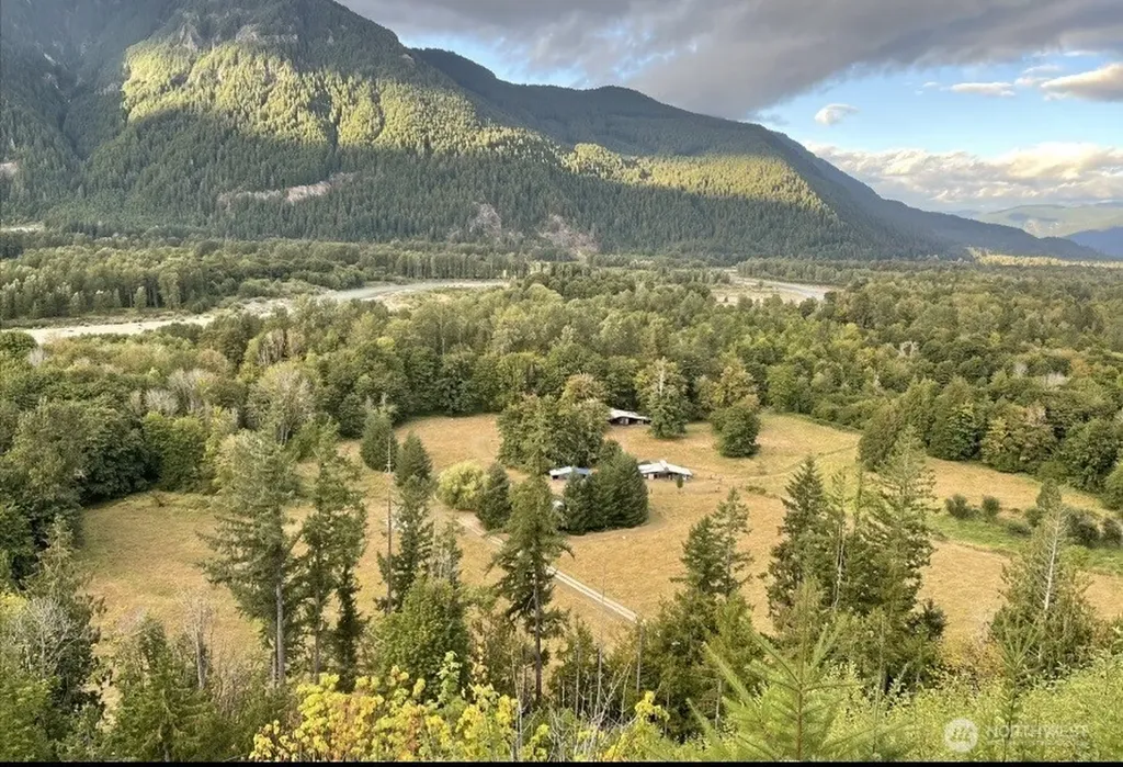 1102 Cline Road Randle WA 98937
