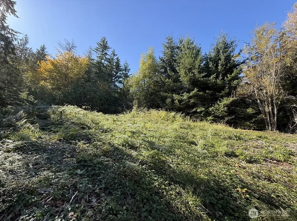 0 Chelsamish Drive Sequim WA 98382