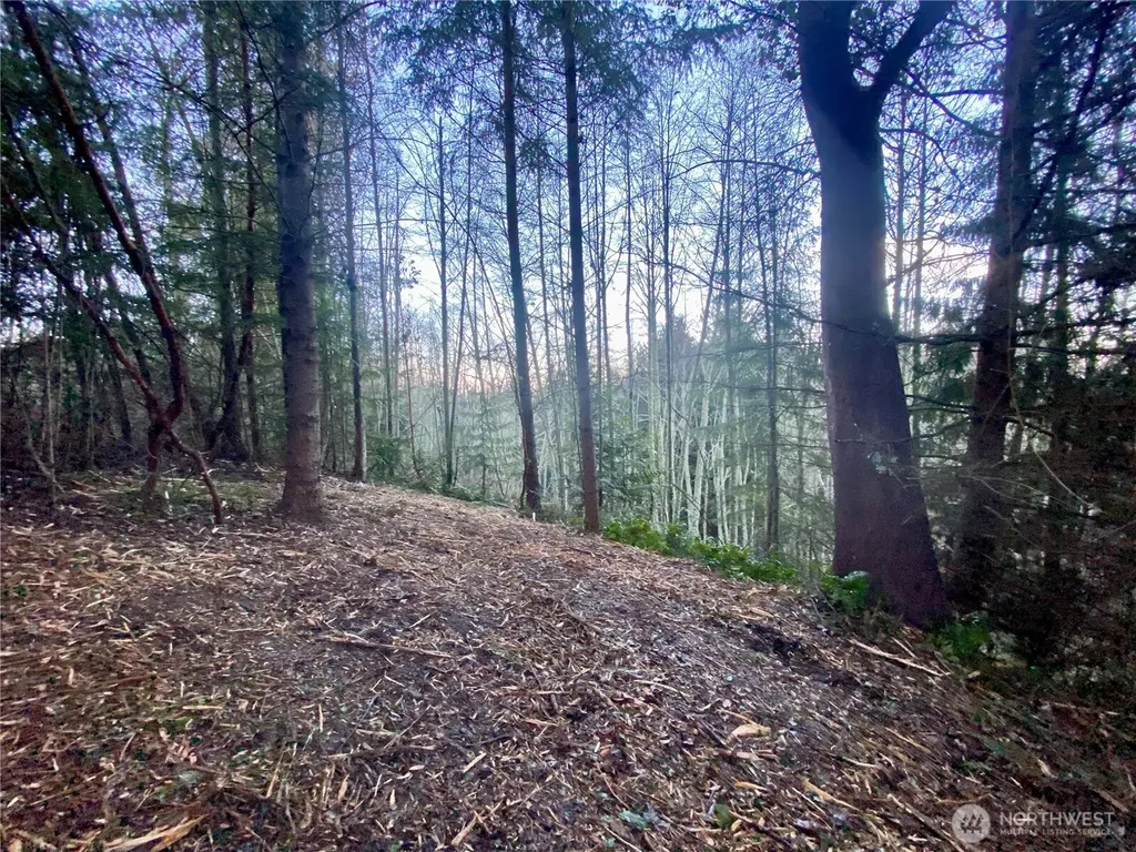 0 Chelsamish Drive Sequim WA 98382