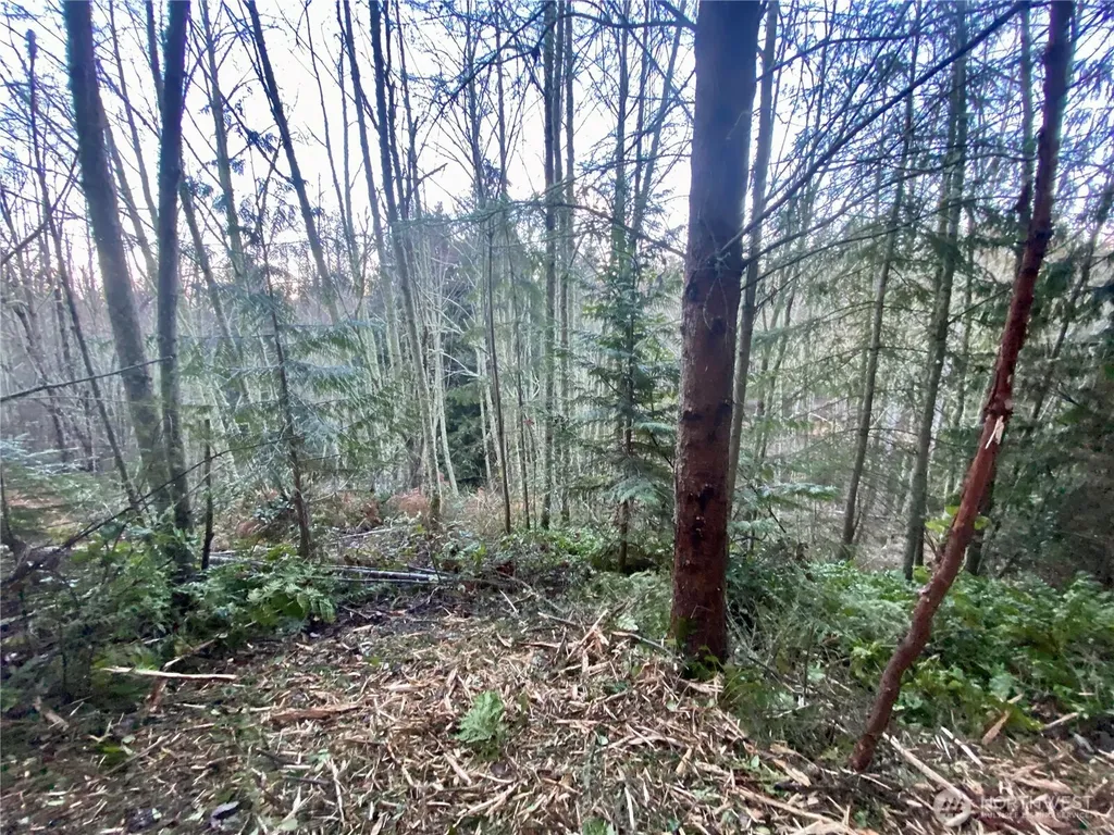 0 Chelsamish Drive Sequim WA 98382
