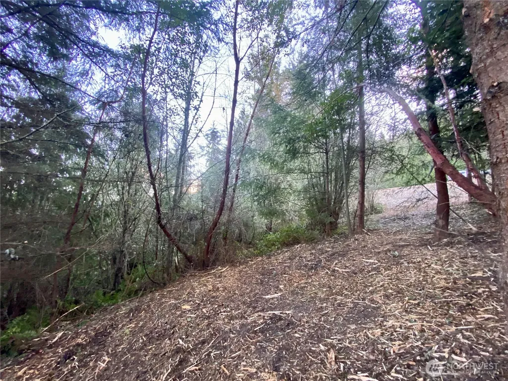 0 Chelsamish Drive Sequim WA 98382