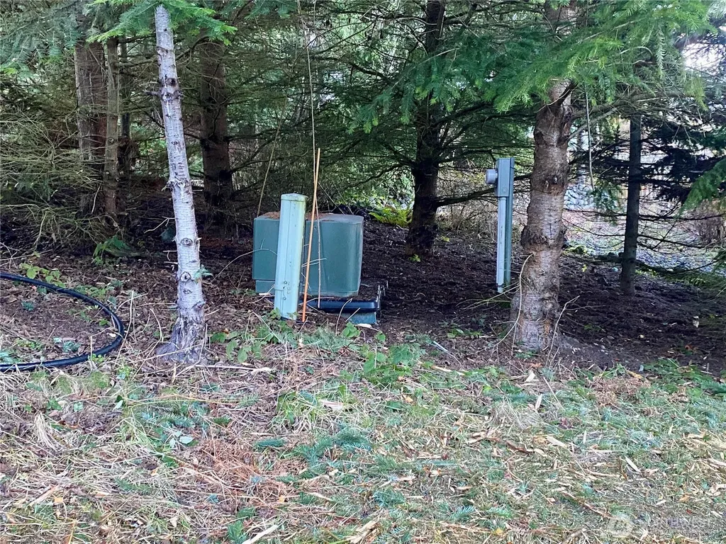 0 Chelsamish Drive Sequim WA 98382