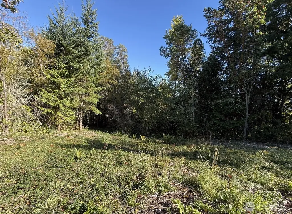 0 Chelsamish Drive Sequim WA 98382