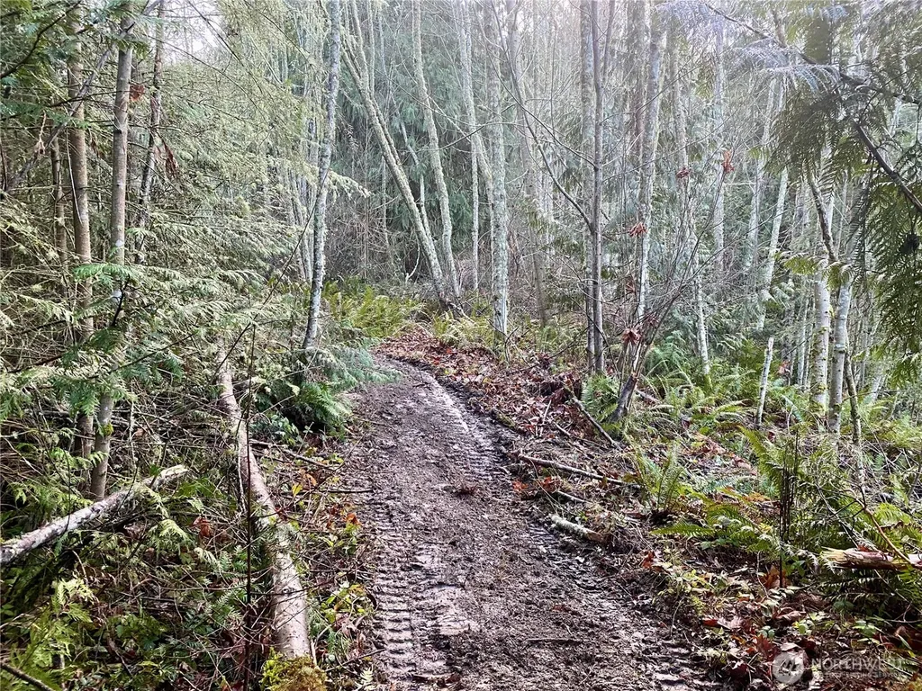 0 Chelsamish Drive Sequim WA 98382