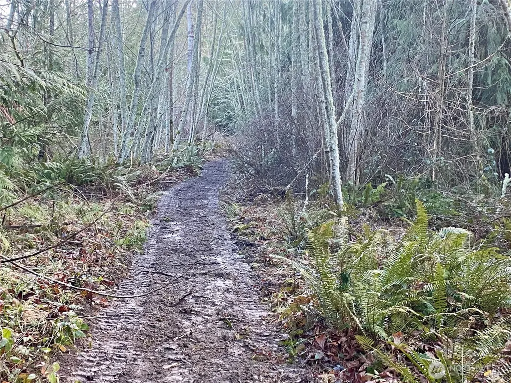 0 Chelsamish Drive Sequim WA 98382