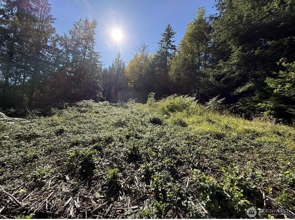 0 Chelsamish Drive Sequim WA 98382