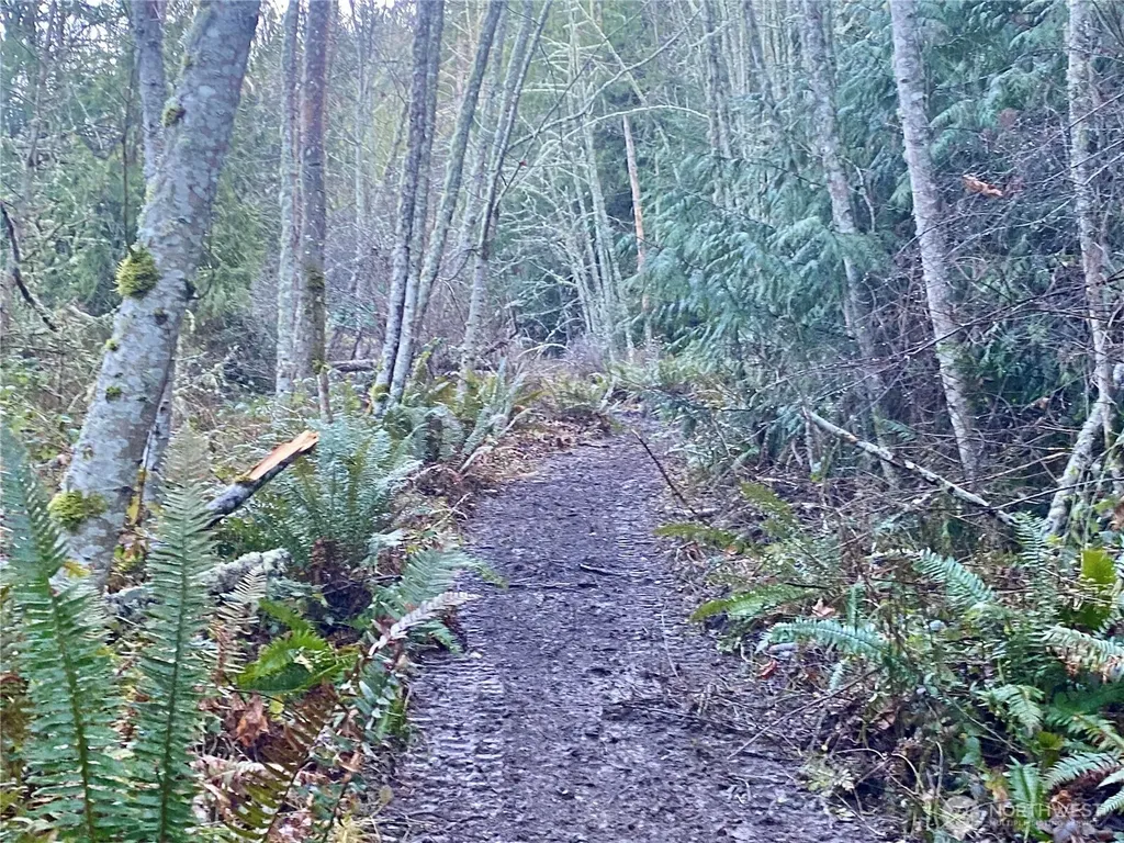 0 Chelsamish Drive Sequim WA 98382