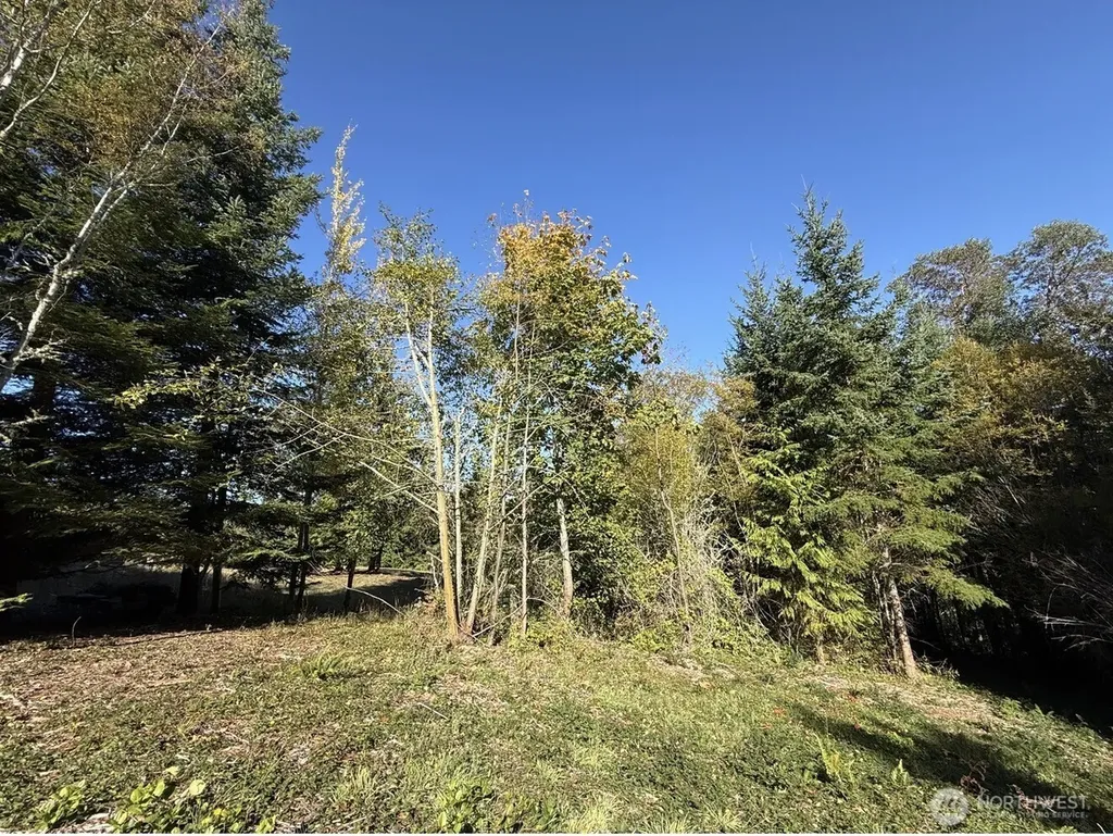 0 Chelsamish Drive Sequim WA 98382