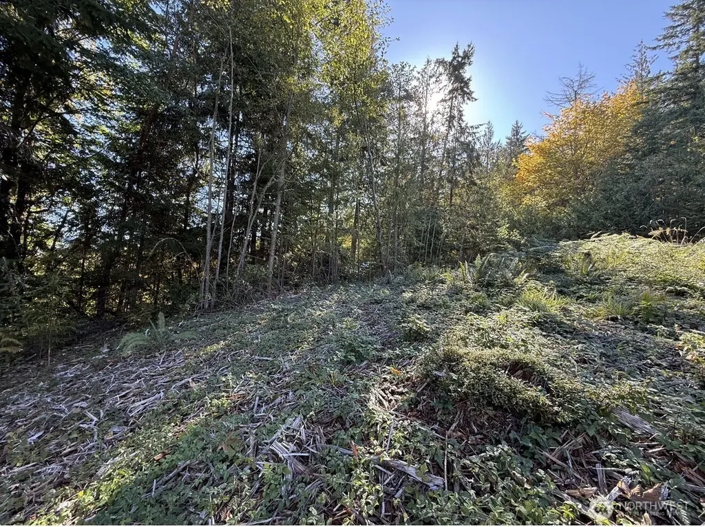 0 Chelsamish Drive Sequim WA 98382