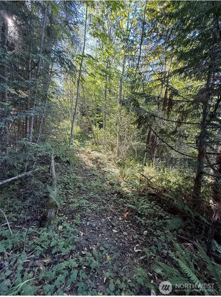 0 Chelsamish Drive Sequim WA 98382