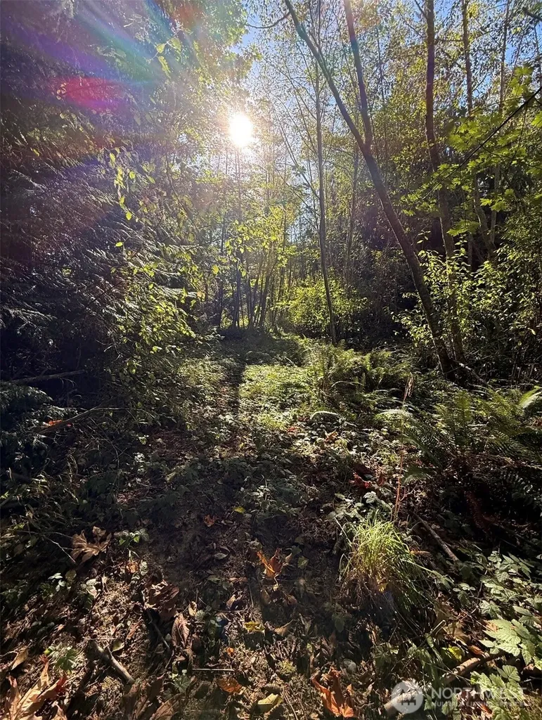 0 Chelsamish Drive Sequim WA 98382
