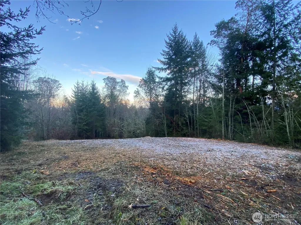 0 Chelsamish Drive Sequim WA 98382