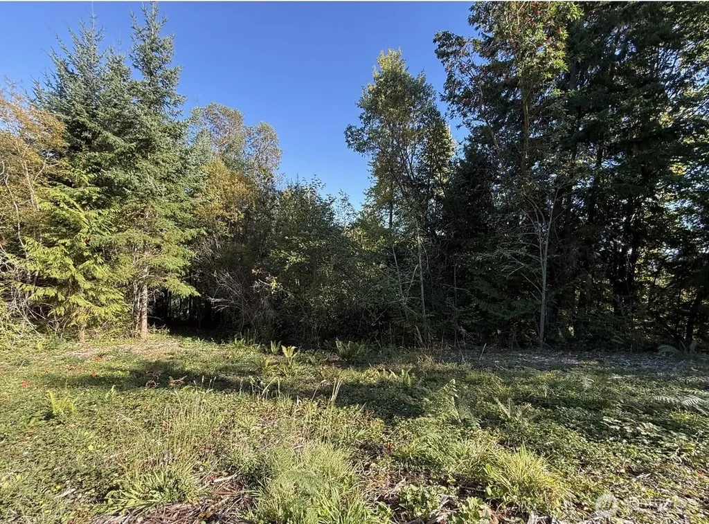 0 Chelsamish Drive Sequim WA 98382