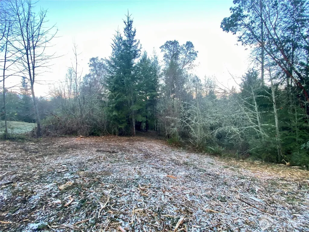 0 Chelsamish Drive Sequim WA 98382