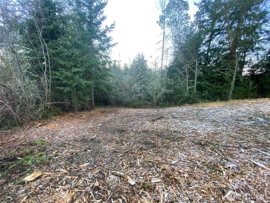 0 Chelsamish Drive Sequim WA 98382