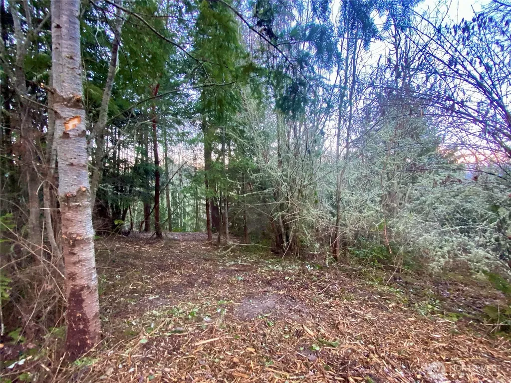 0 Chelsamish Drive Sequim WA 98382