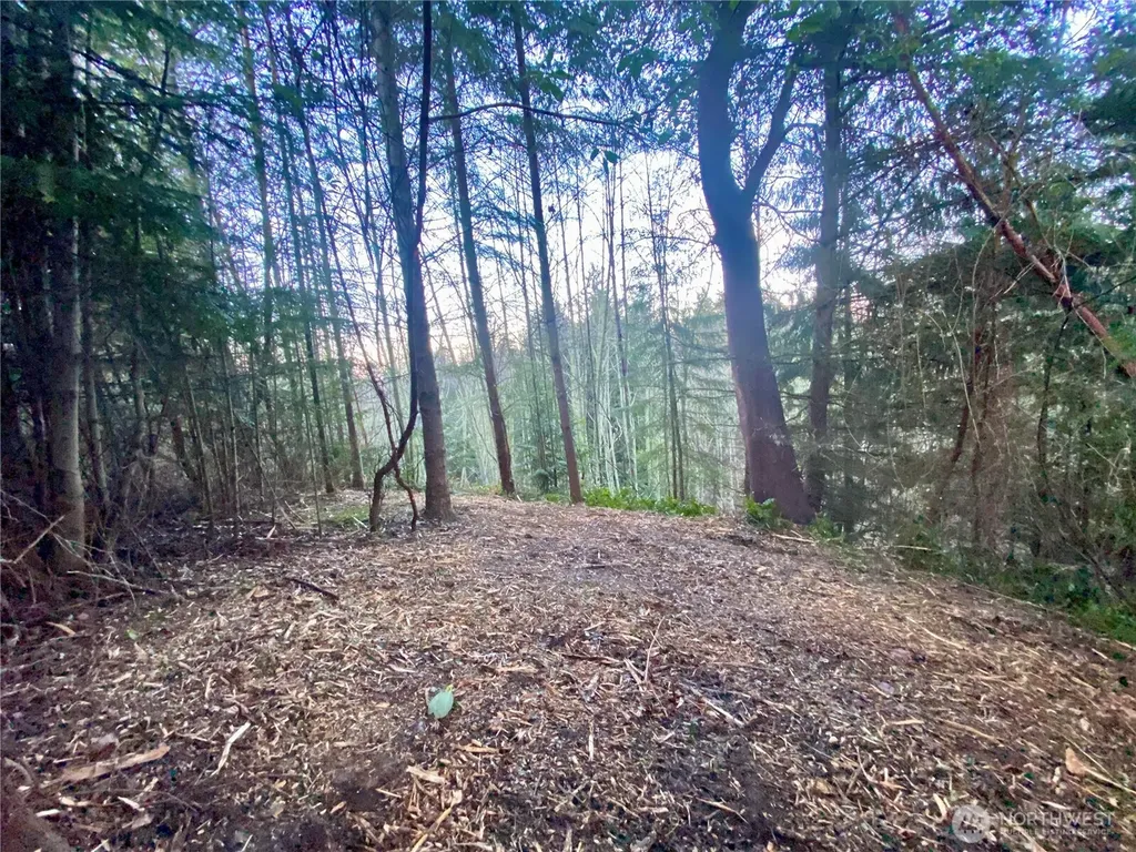 0 Chelsamish Drive Sequim WA 98382