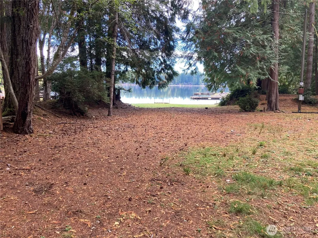 Shelton WA 98584