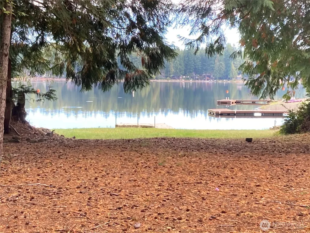 Shelton WA 98584