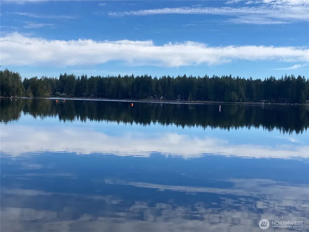 Shelton WA 98584