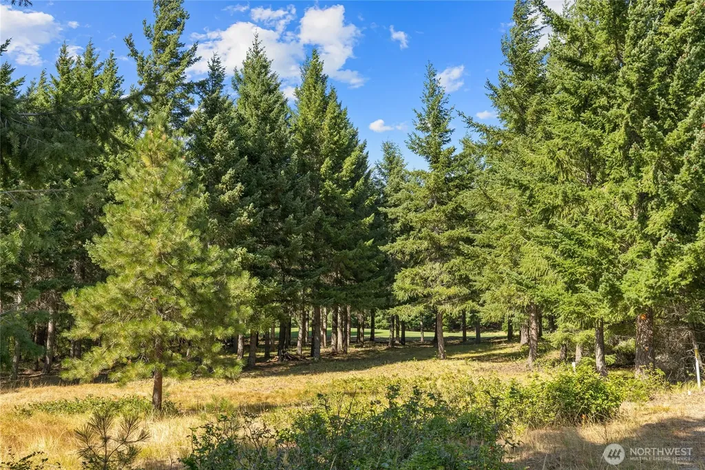 51 Big Bug Lane Cle Elum WA 98922