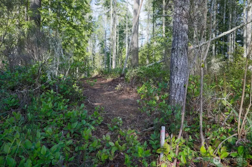 26663 Big Valley Road NE Poulsbo WA 98370