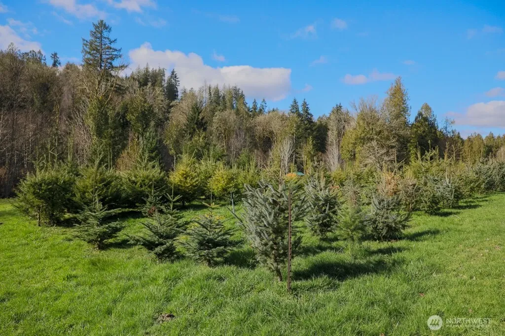 26663 Big Valley Road NE Poulsbo WA 98370