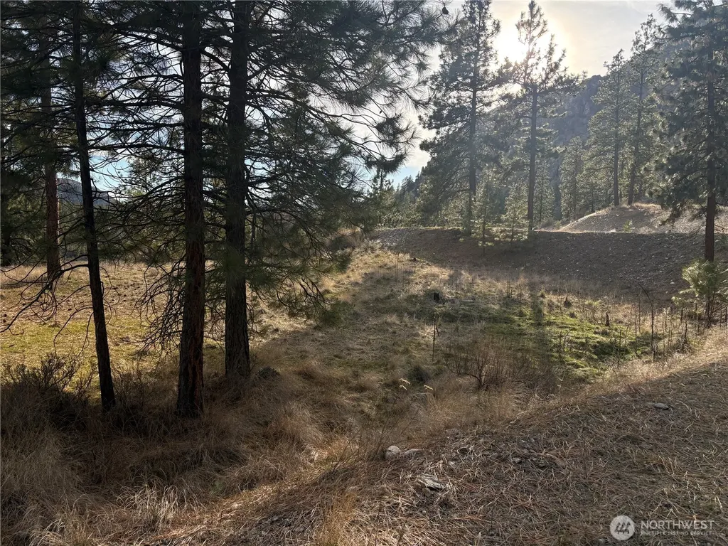 2 Mist Lake Road Tonasket WA 98855