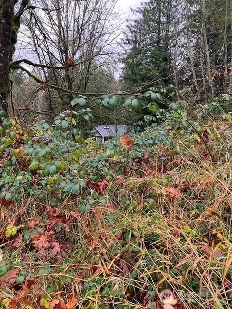29280 NE 189th Street Duvall WA 98019