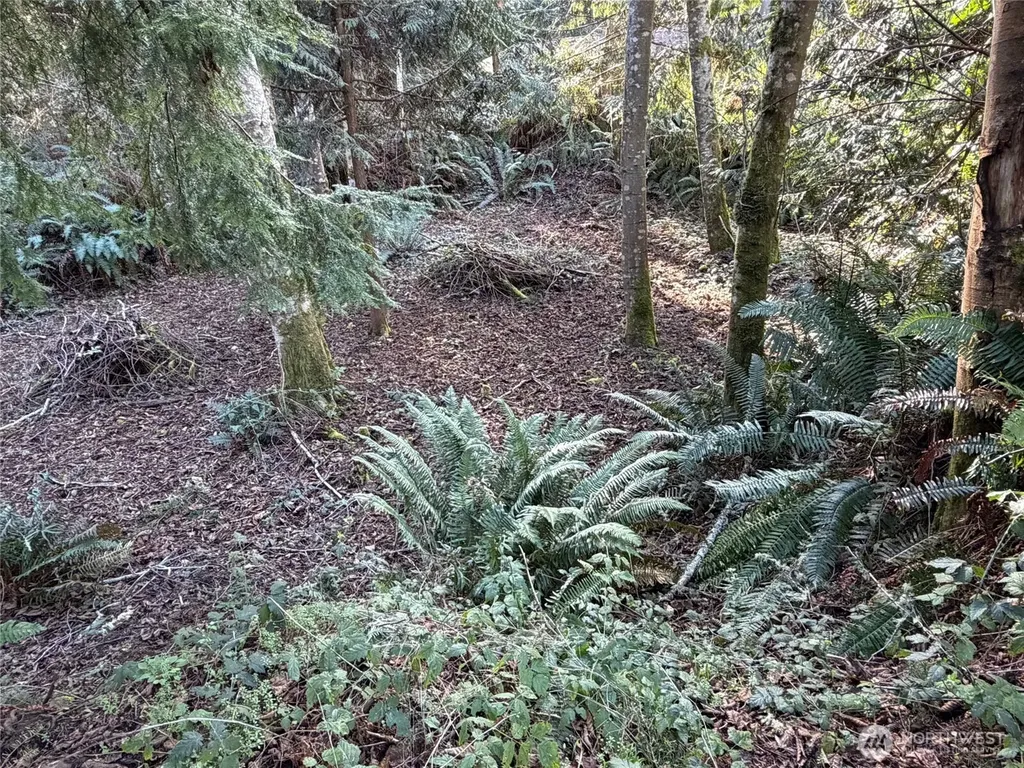 4843 NE Twin Spits Road Hansville WA 98340