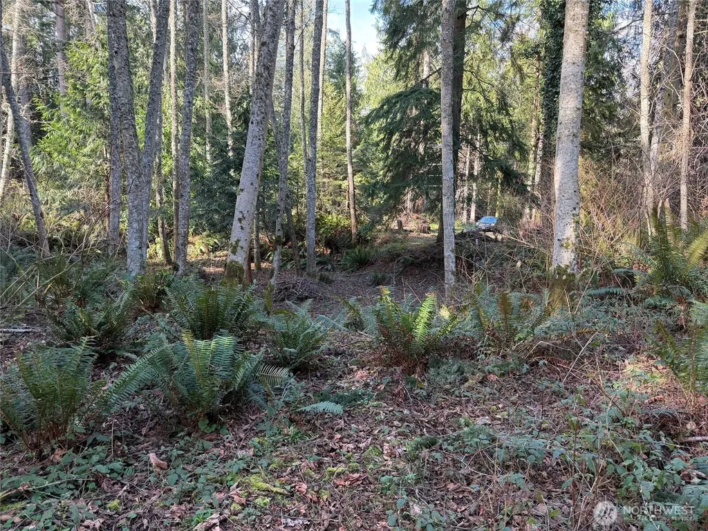 4843 NE Twin Spits Road Hansville WA 98340