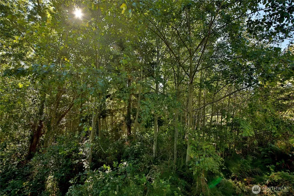 0 Leaf Lane Greenbank WA 98239