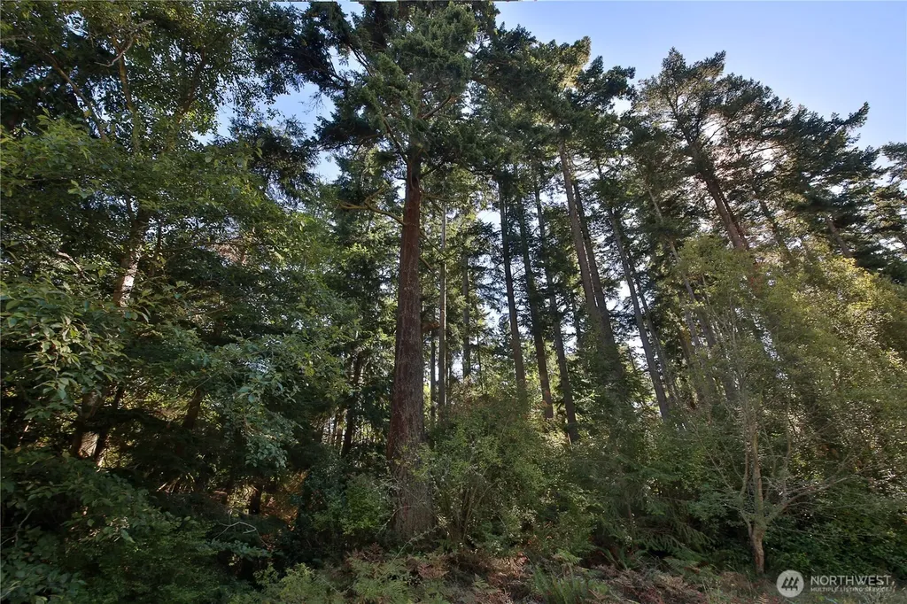 0 Leaf Lane Greenbank WA 98239