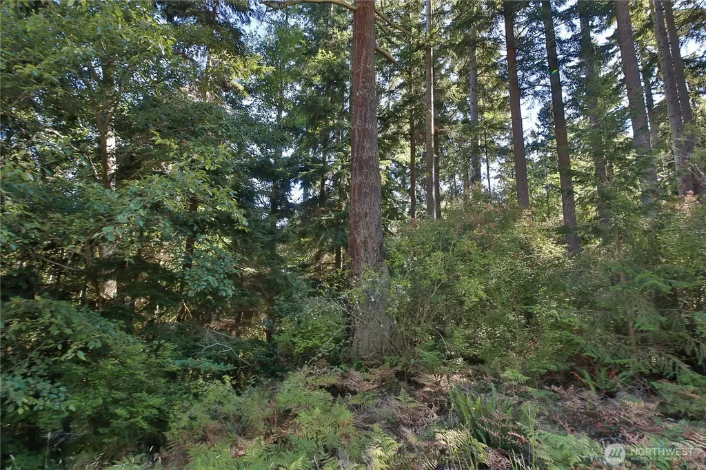 0 Leaf Lane Greenbank WA 98239