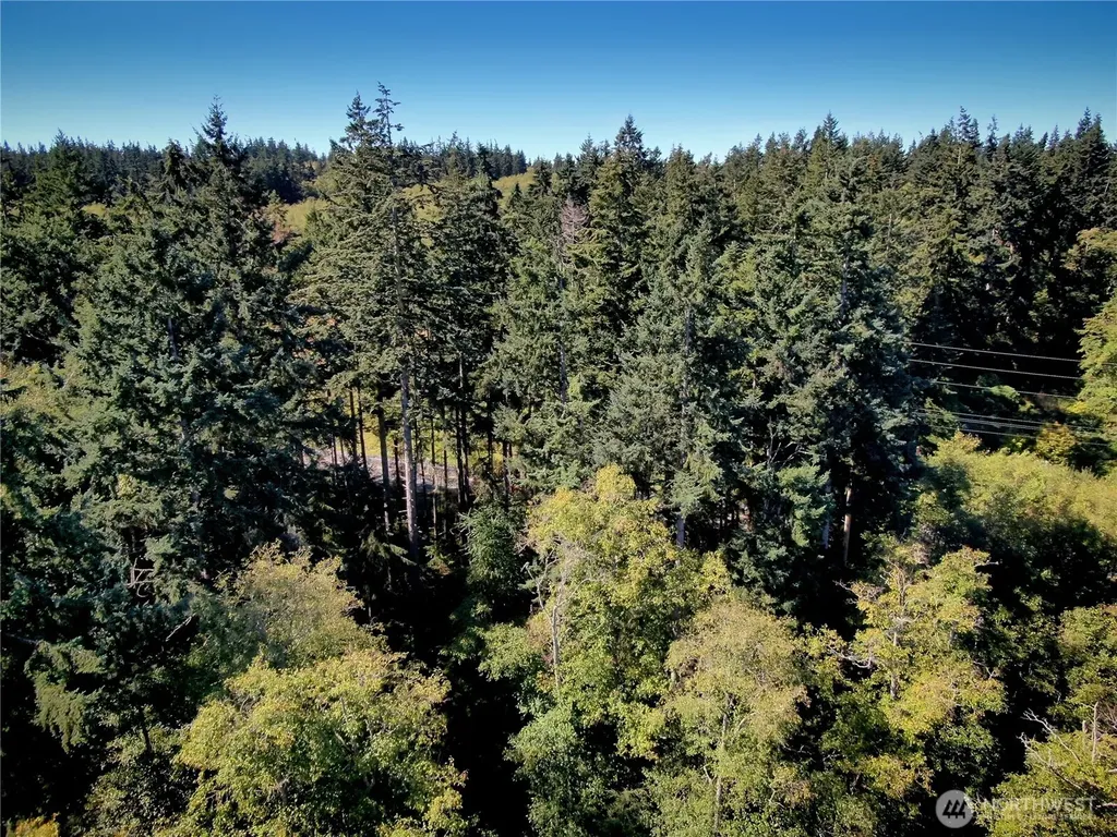 0 Leaf Lane Greenbank WA 98239