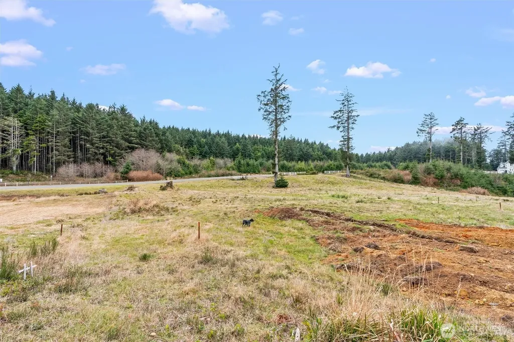 14 Chauncey Lane W Pacific Beach WA 98571