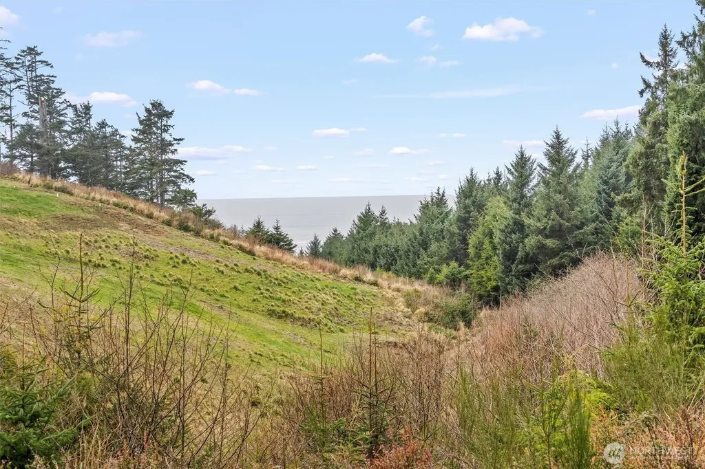 14 Chauncey Lane W Pacific Beach WA 98571