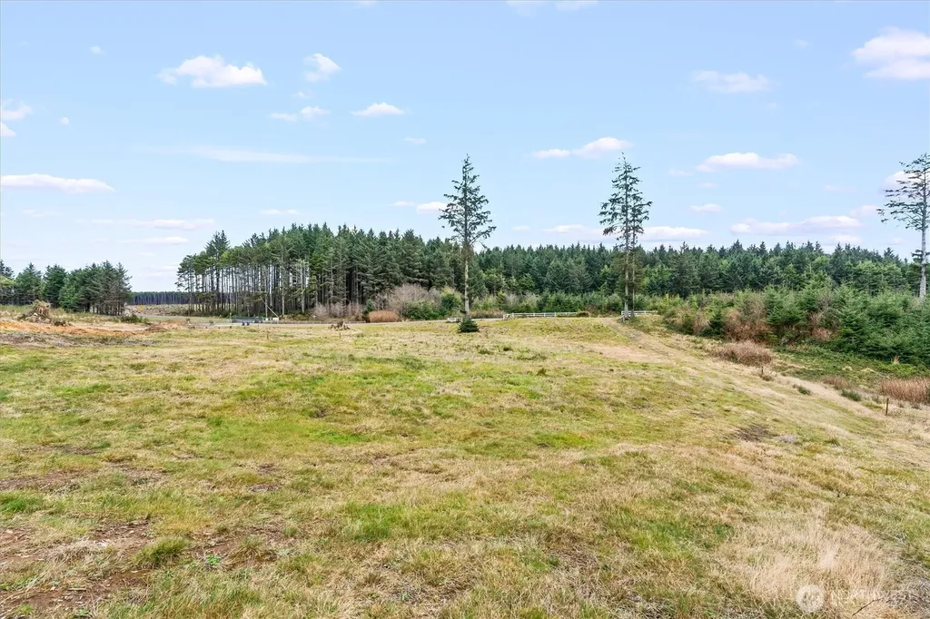 14 Chauncey Lane W Pacific Beach WA 98571