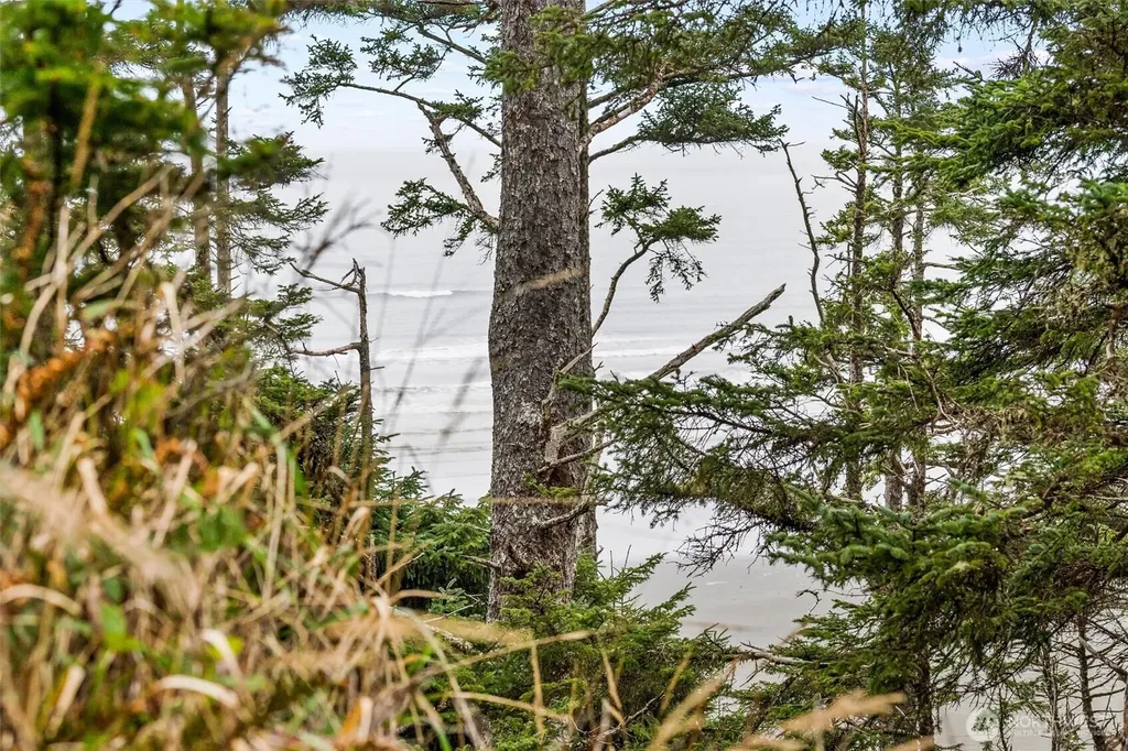 14 Chauncey Lane W Pacific Beach WA 98571