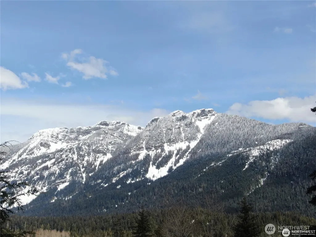91 Arlberg Place Snoqualmie Pass WA 98068