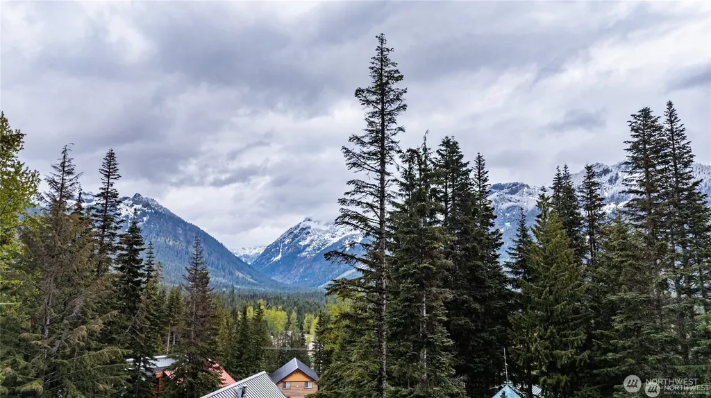 91 Arlberg Place Snoqualmie Pass WA 98068