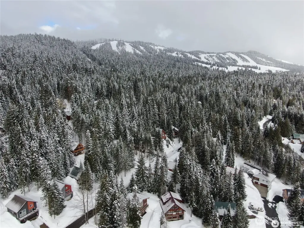 91 Arlberg Place Snoqualmie Pass WA 98068