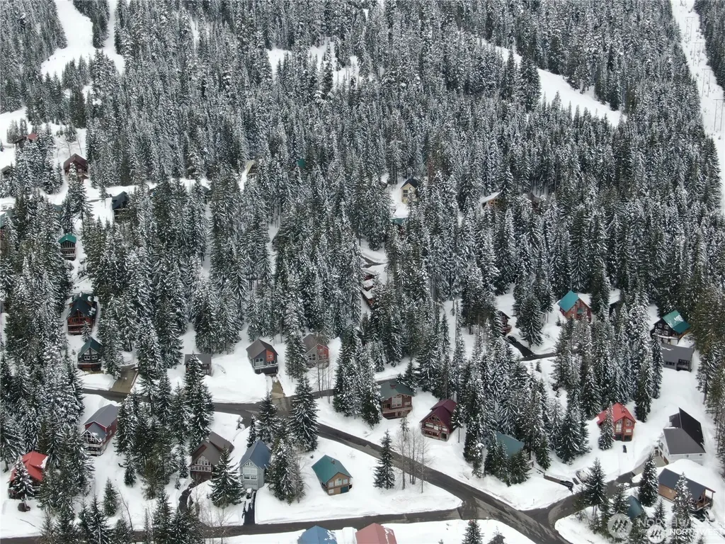 91 Arlberg Place Snoqualmie Pass WA 98068