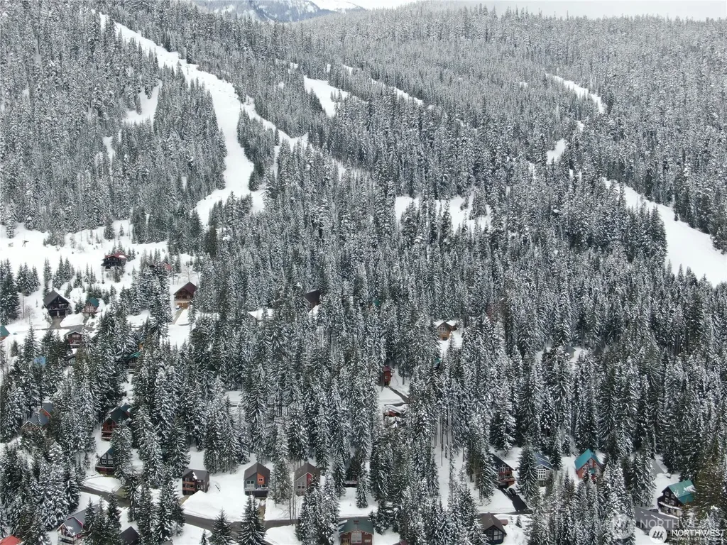 91 Arlberg Place Snoqualmie Pass WA 98068